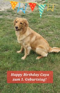 Caya 1. Geburtstag 19.6.2022